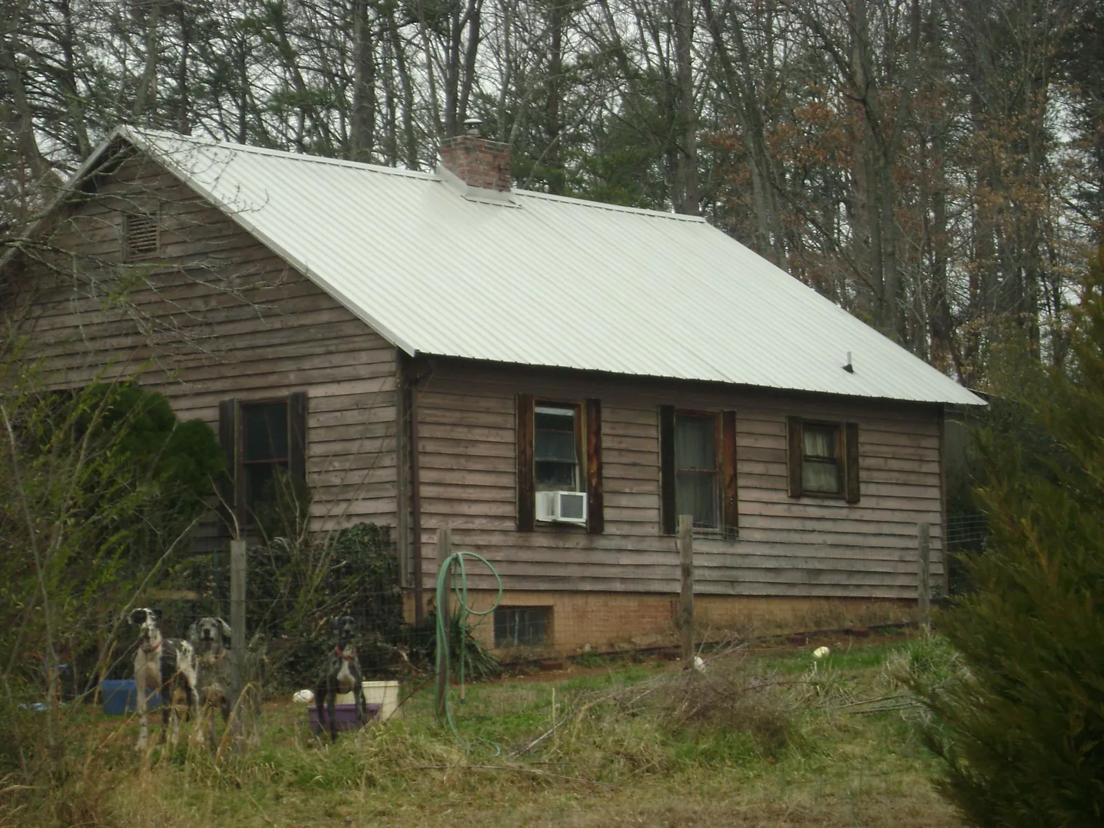 White metal roof on an old wood sided farmhouse, from a Asphalt Shingle Roof Repair job in Lattimore
